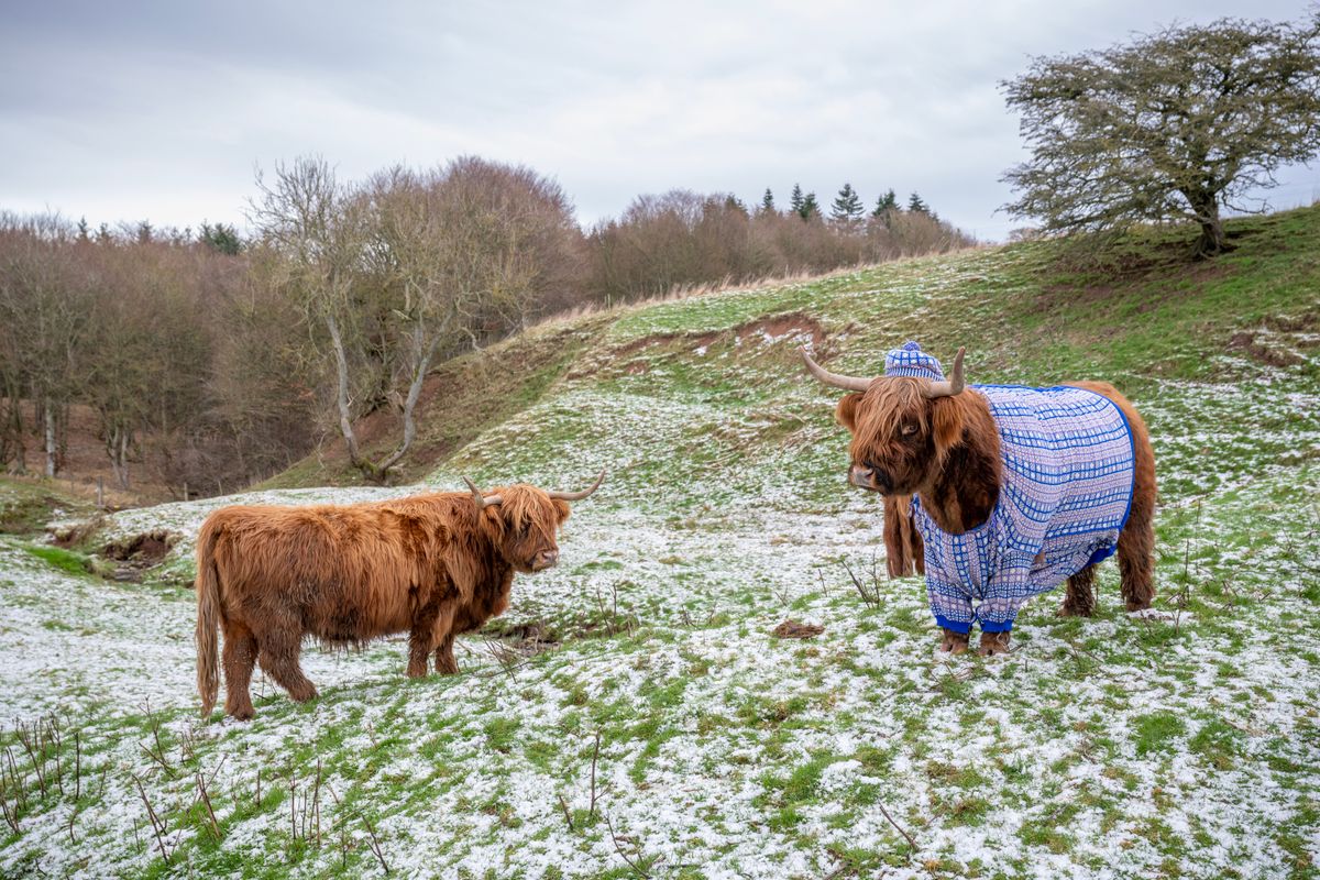 Encourage Scottish winter breaks - News | VisitScotland.org