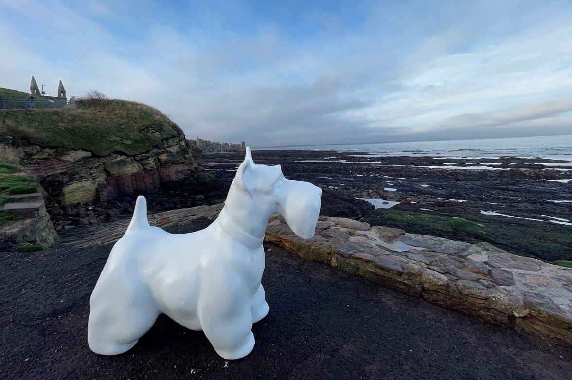 scotties by the sea