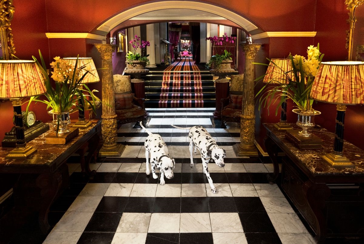 Two Dalmatians walk through a lavishly decorated hallway at Prestonfield House