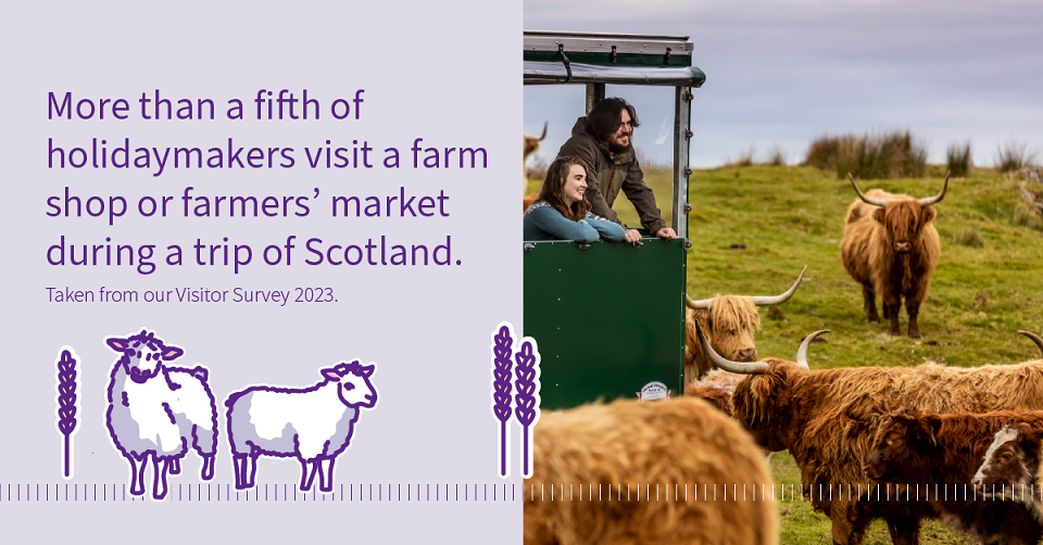 Image of highlands cows in a field and a person viewing them from a farm vehicle. Text on the image reads  "More than a 5th of holidaymakers visit a farm shop or farmers' market during a trip to Scotland. Taken from our Visitor Survey 2023.