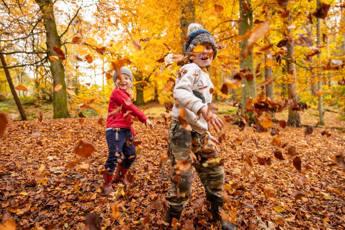 A family enjoying autumn on Kinnoull Hill.