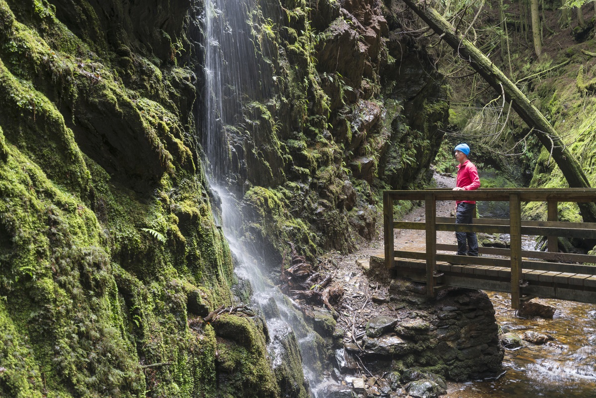 A visitor admires a waterfall in Puck's Glen in Argyll