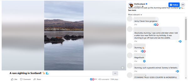 screenshot of VisitScotland's Facebook account