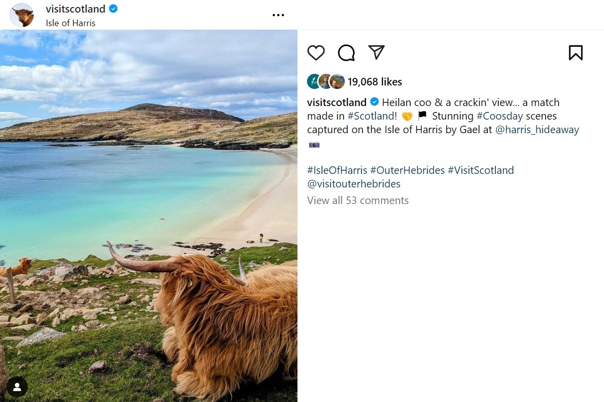 An Instagram post of Highland cows by the coast.