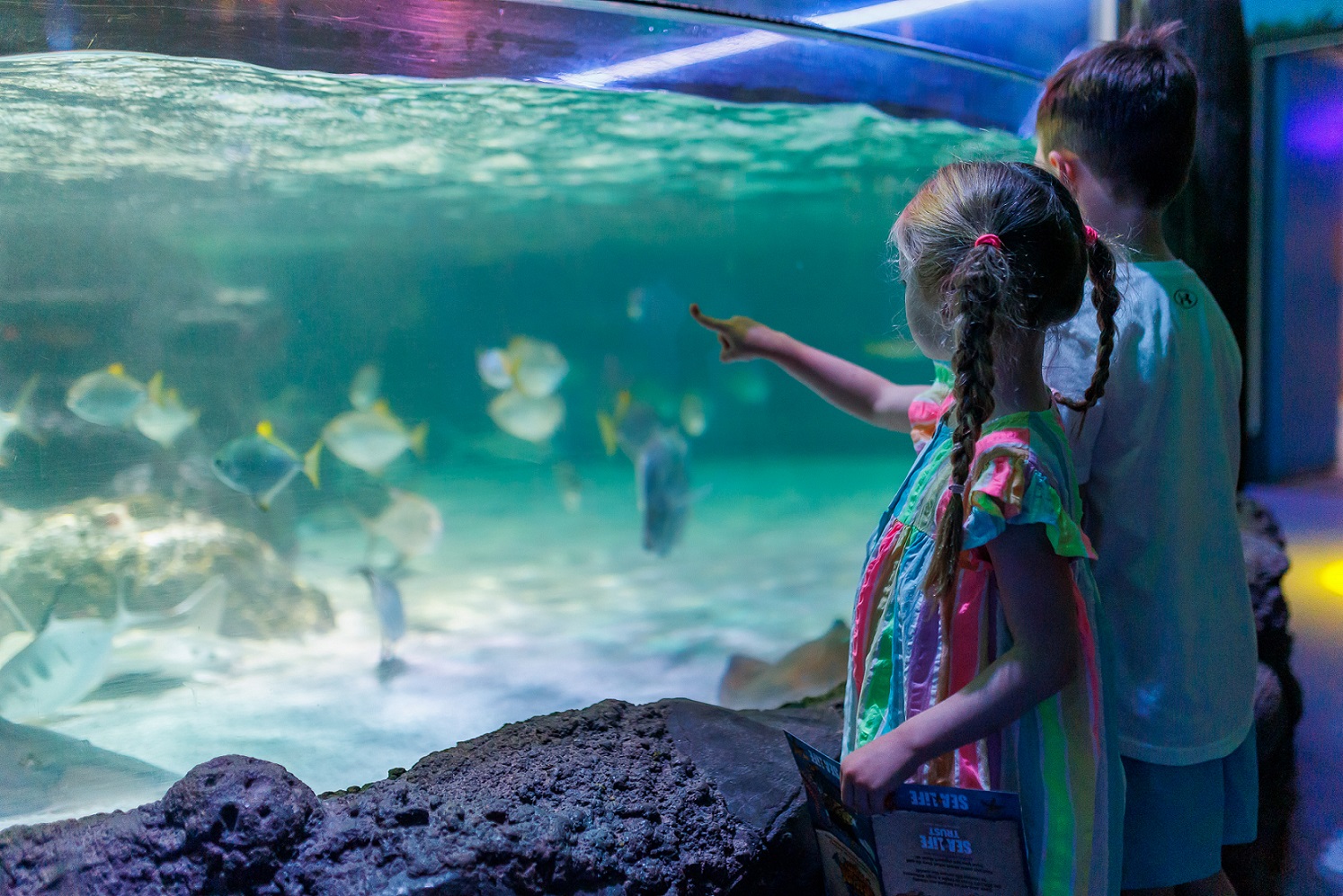 A young girl pointing to an aquarium with fish