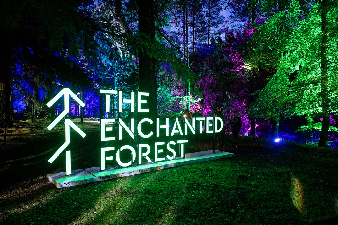 A light up sign saying "The Enchanted Forest" placed amongst trees which have been lit with blue, green and purple lights.