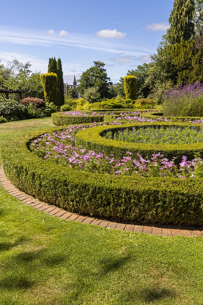 Images of a Garden on a clear sunny day