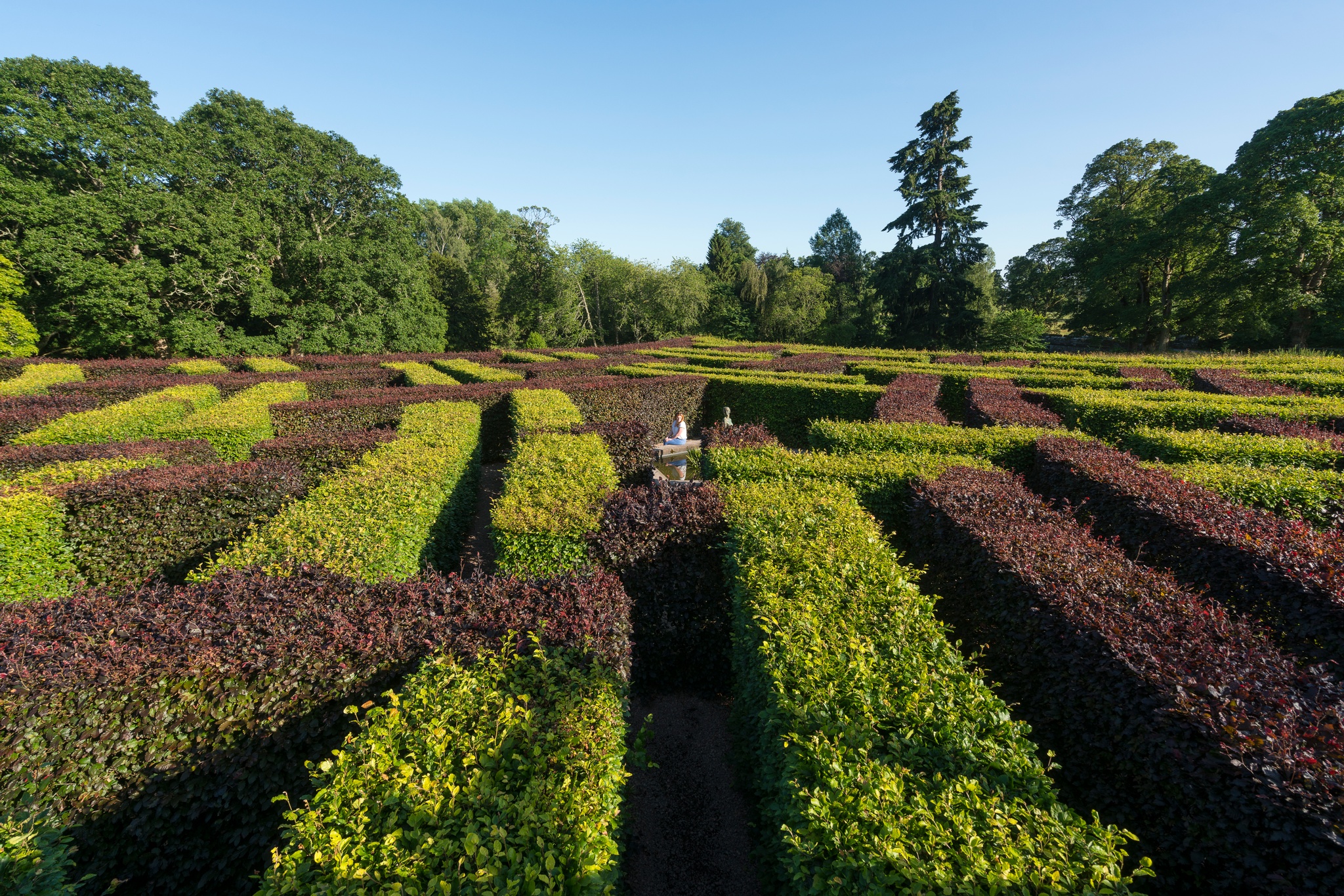 A maze in the grounds of Scone Palace